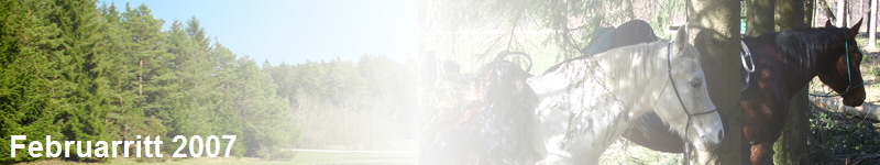  Februarritt 2007 