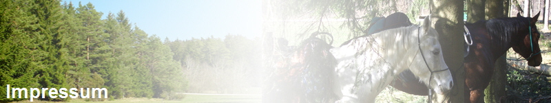  Impressum 